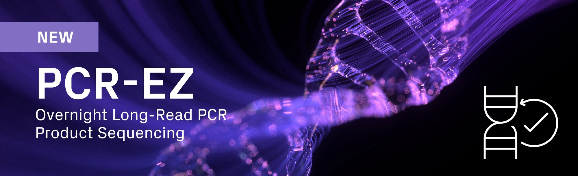 PCR-EZ: Overnight Long-Read PCR Product Sequencing