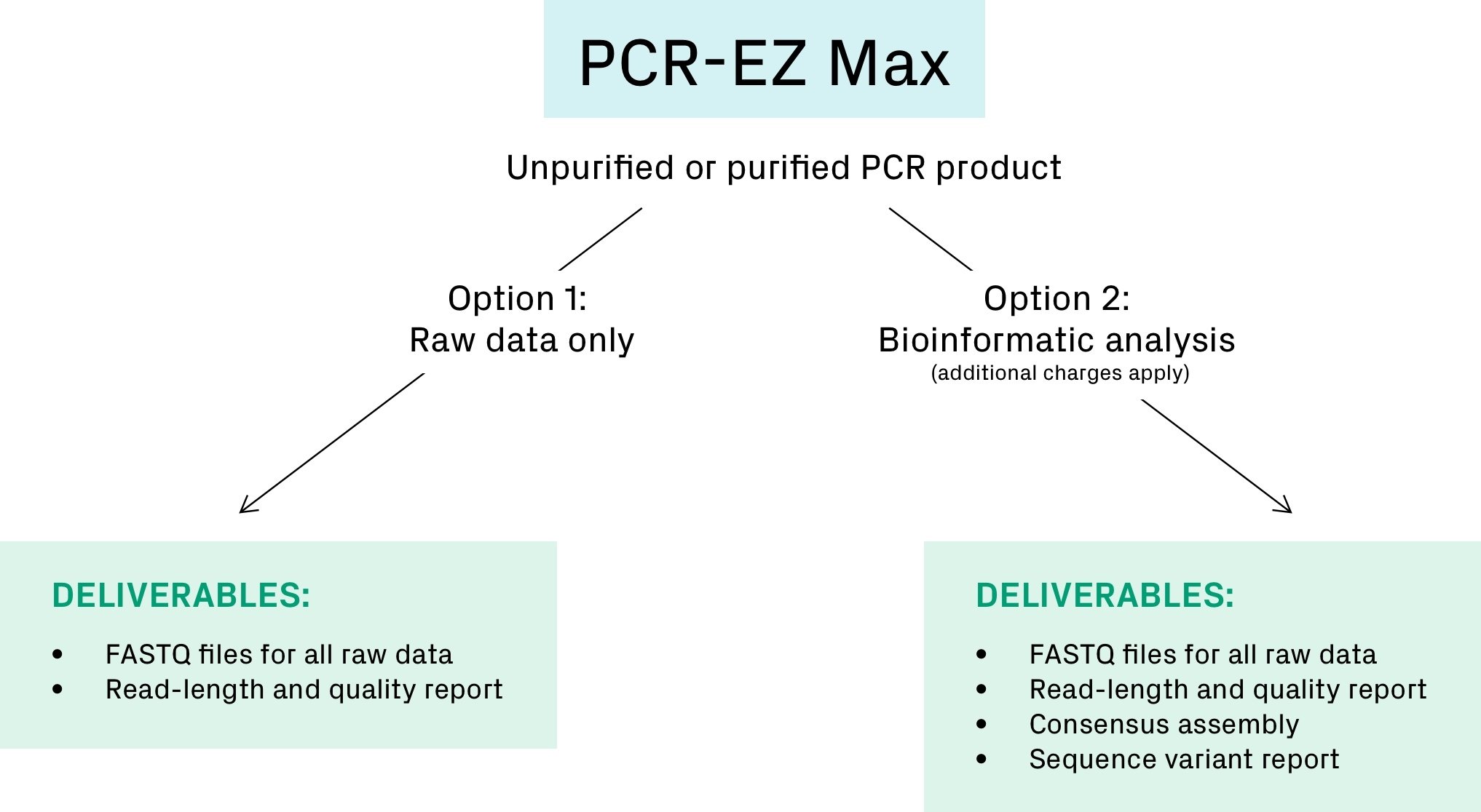 11043-D_PCR-EZ-Max_LP-Image5@3x