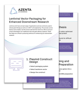 Gene to Lentivirus Infographic | GENEWIZ from Azenta Life Sciences