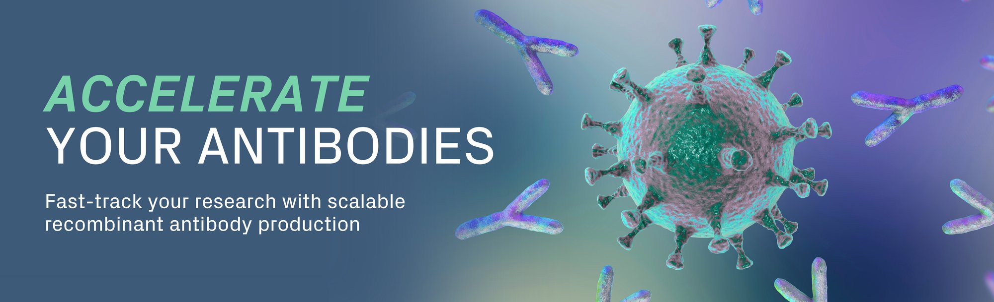 12005-D-EMEA_Recomb-Antibody_LP-Hero-Lrg@3x