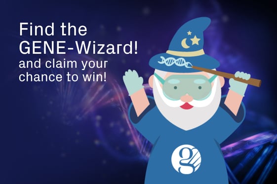 Find a Wizard Landing Page Image (5)