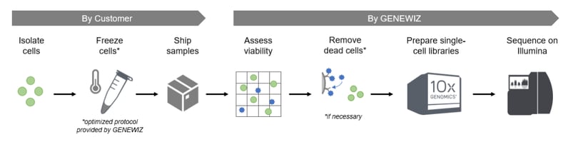 azenta single cell atac workflow 