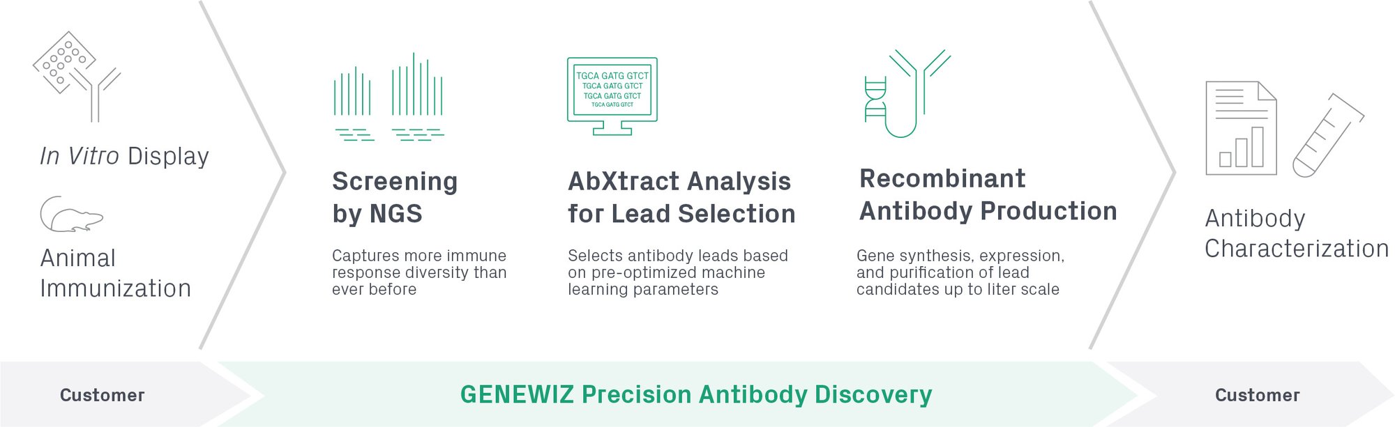 Precision Antibody Workflow