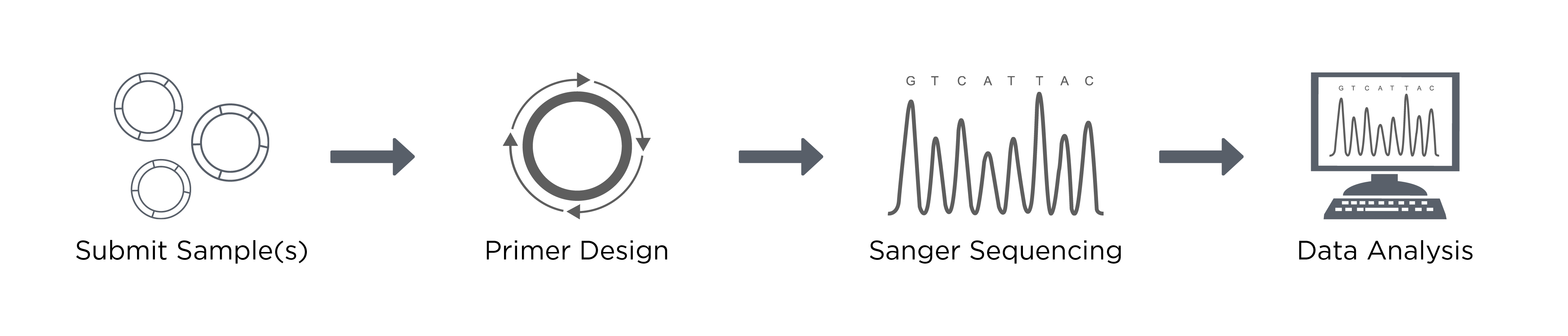 GA_Primer-Walking_EU_Workflow_26Oct_2020