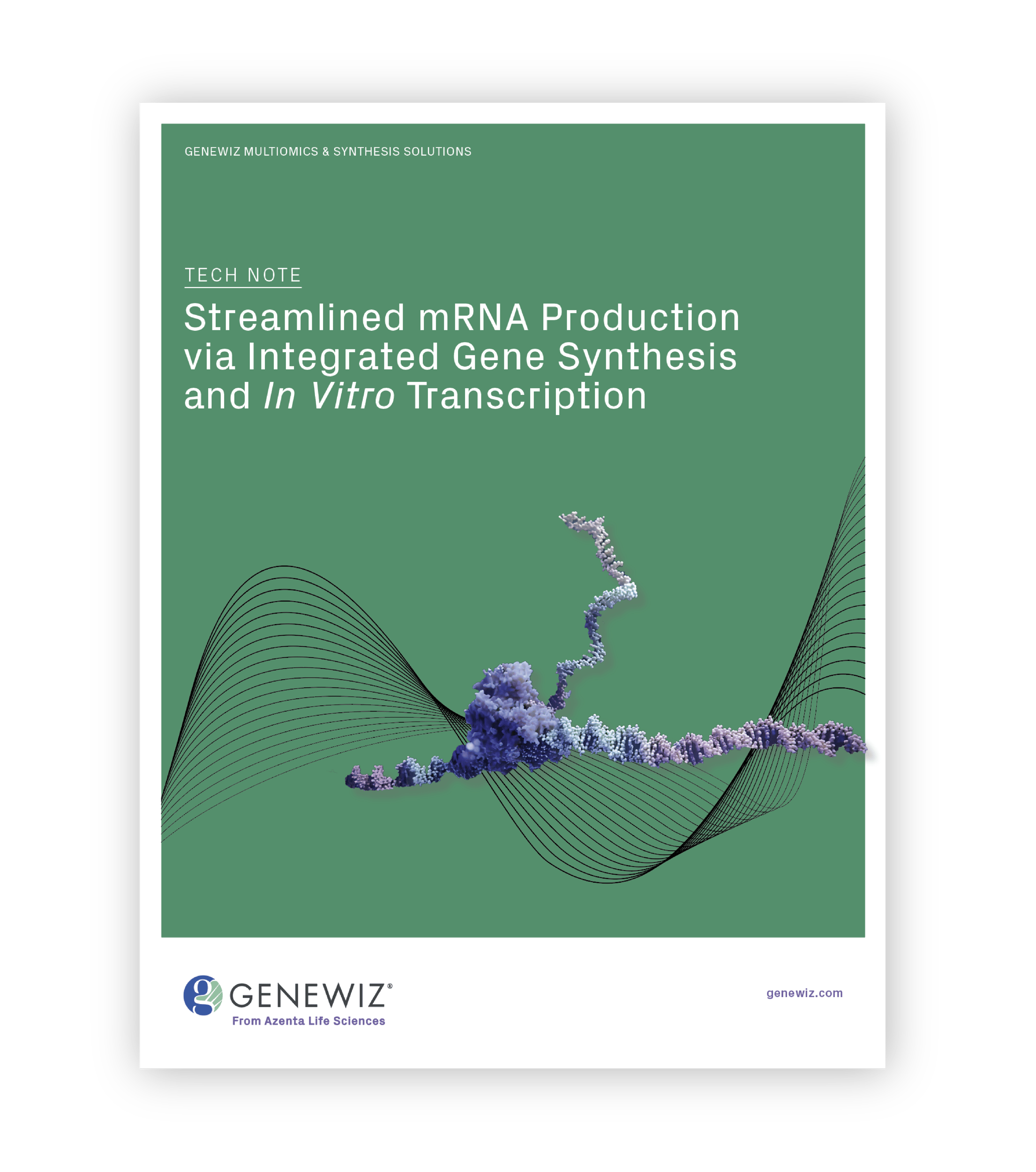mRNA Synthesis Tech Note | GENEWIZ from Azenta Life Sciences