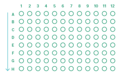 Untitled design (43)