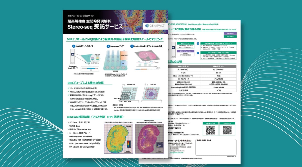 Stereo seq FFPE