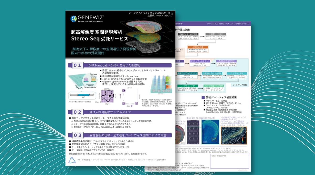 Stereo seq