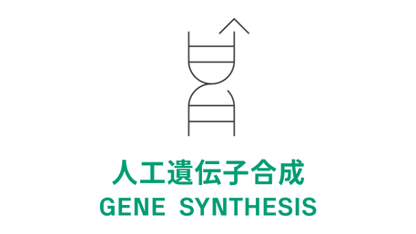 genewiz gene synthesis