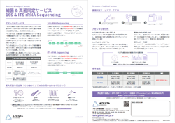 MG-16S&ITS-rRNACamp_AzentaJP