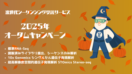 Autumn Campaign 2025 Hubspot Promo