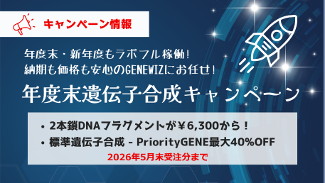 GS Campaign FY26Q2_Hubspot Promo