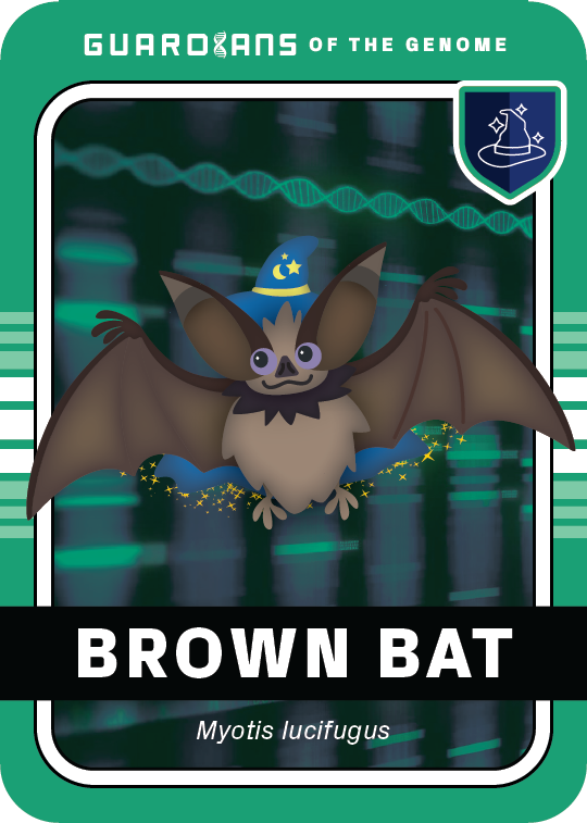 Core_Bat_Front@3x