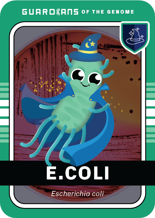 Core_Ecoli_Front @3x