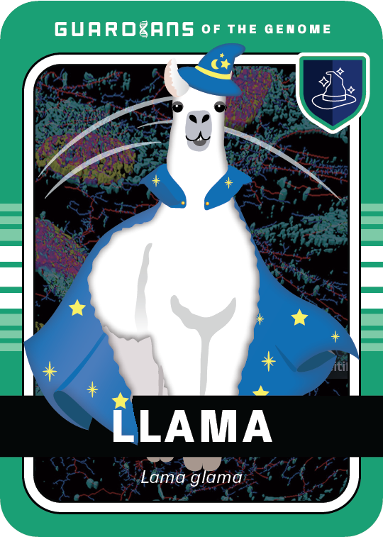 Core_Llama_Front@3x