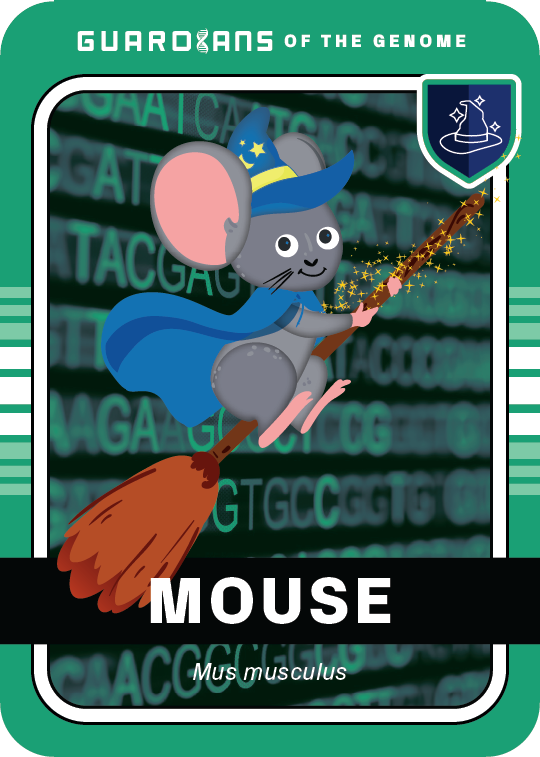 Core_Mouse_Front@3x