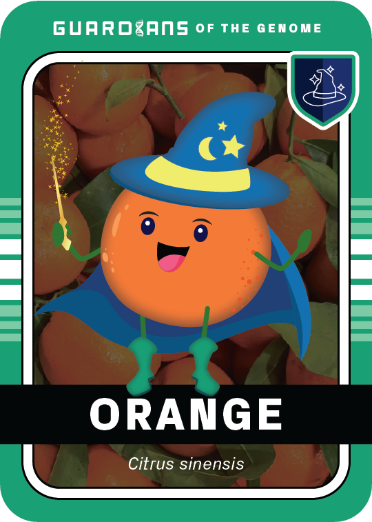 Core_Orange_Front@3x