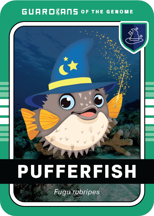 Core_Pufferfish_Front@3x