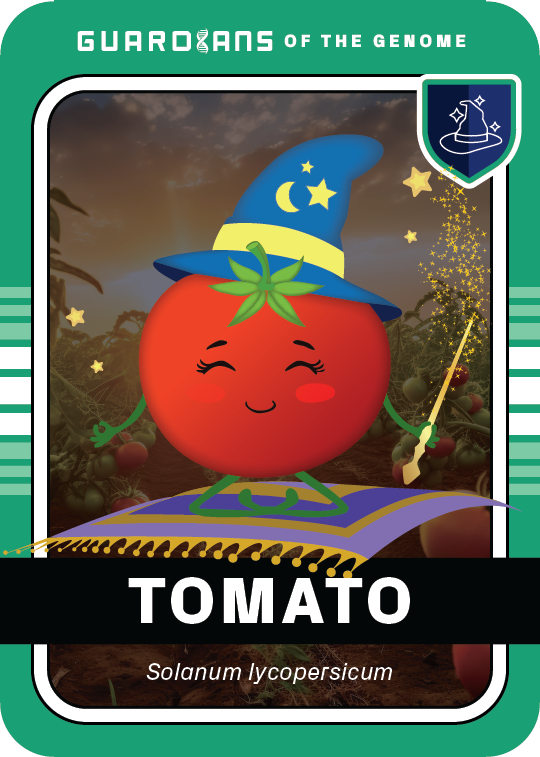 Core_Tomato_Front@3x