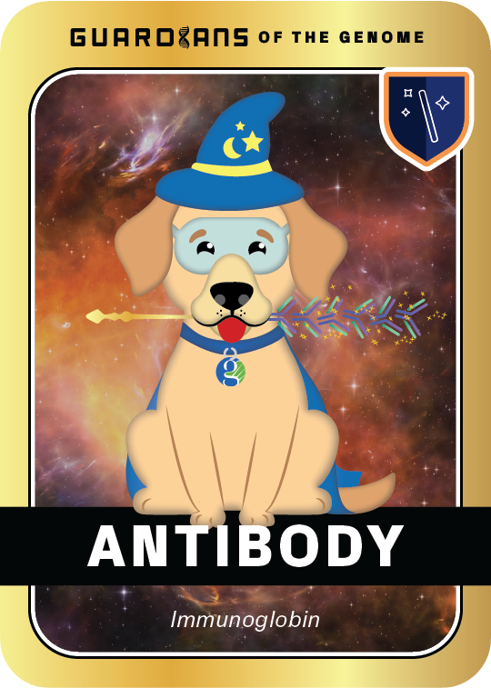 Golden_Antibody_Front@3x