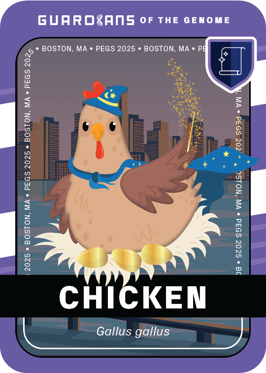 Signature_Chicken_Front@3x (1)