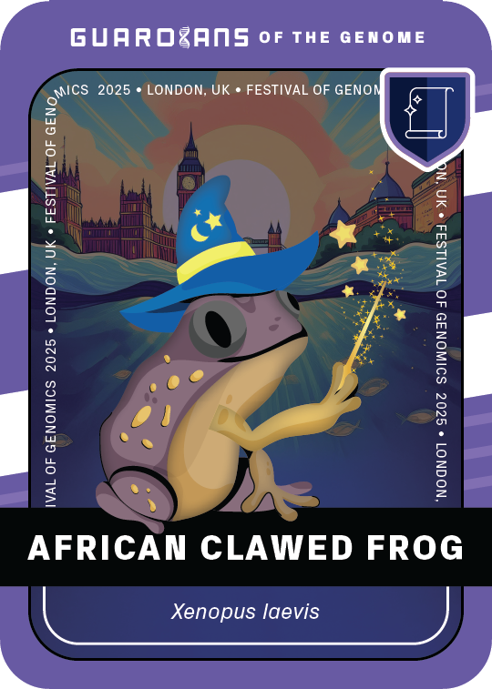 Signature_Frog_Front@3x (2)