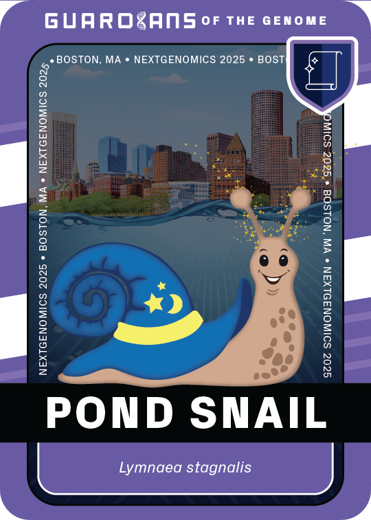 Signature_Snail_Front