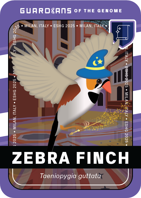Signature_ZebraFinch_Front@3x