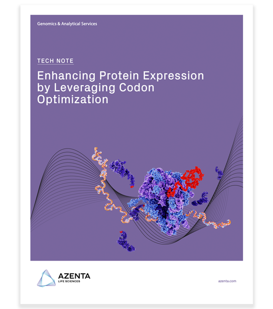 12006-D Codon-Optimization-TN_LP-Thumbnail