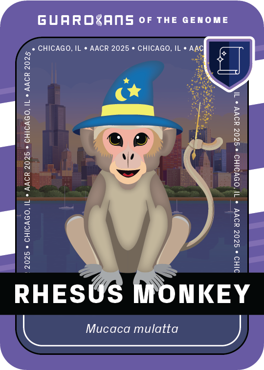 Signature_RMonkey_Front@3x