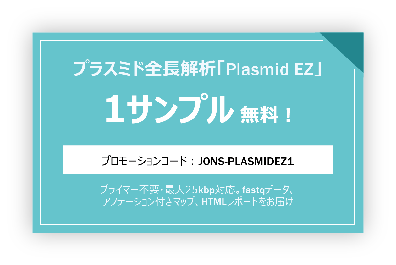 Plasmid EZ