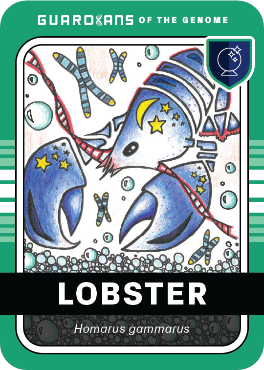 Core_Lobster_Front @3x
