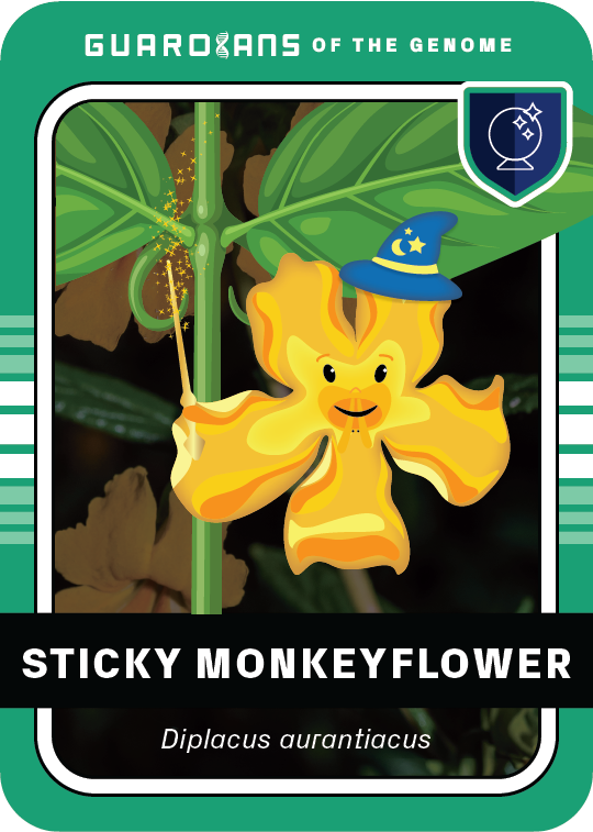 Core_Monkeyflower_Front@3x