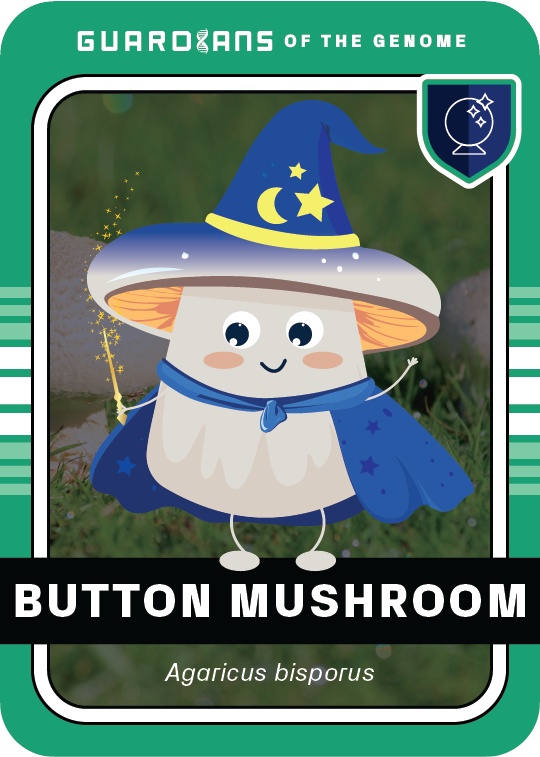 Core_Mushroom_Front@3x