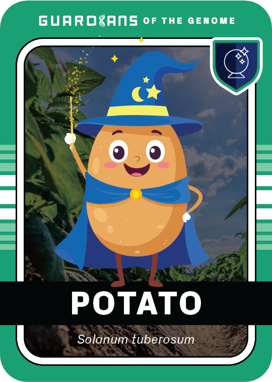 Core_Potato_Front@3x