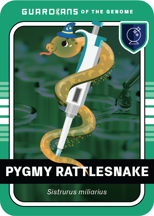 Core_Rattlesnake_Front@3x