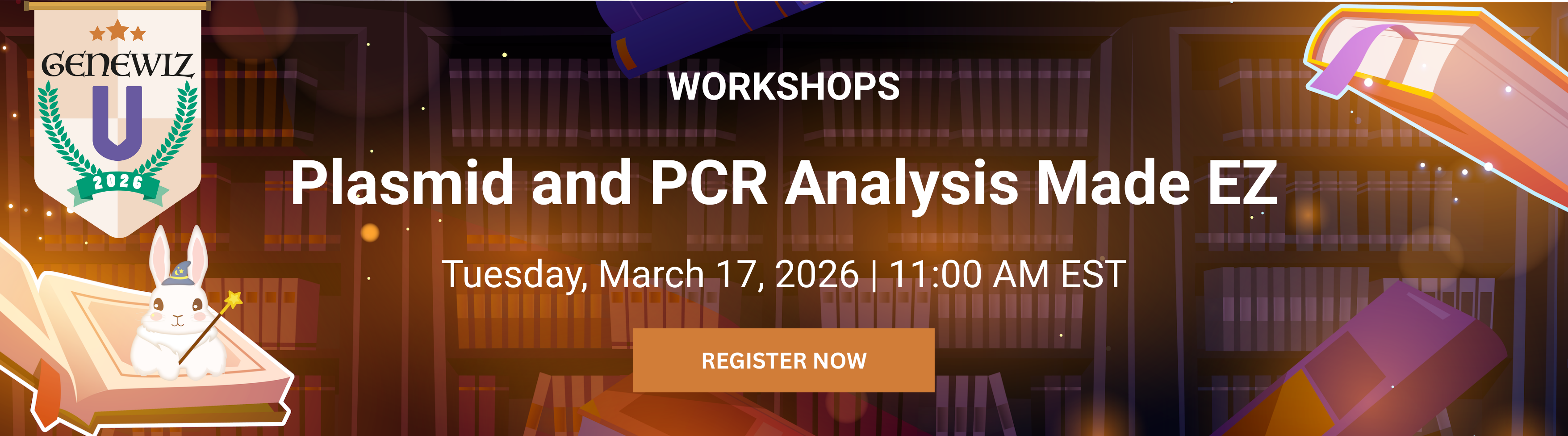 Plasmid and PCR FB (1)