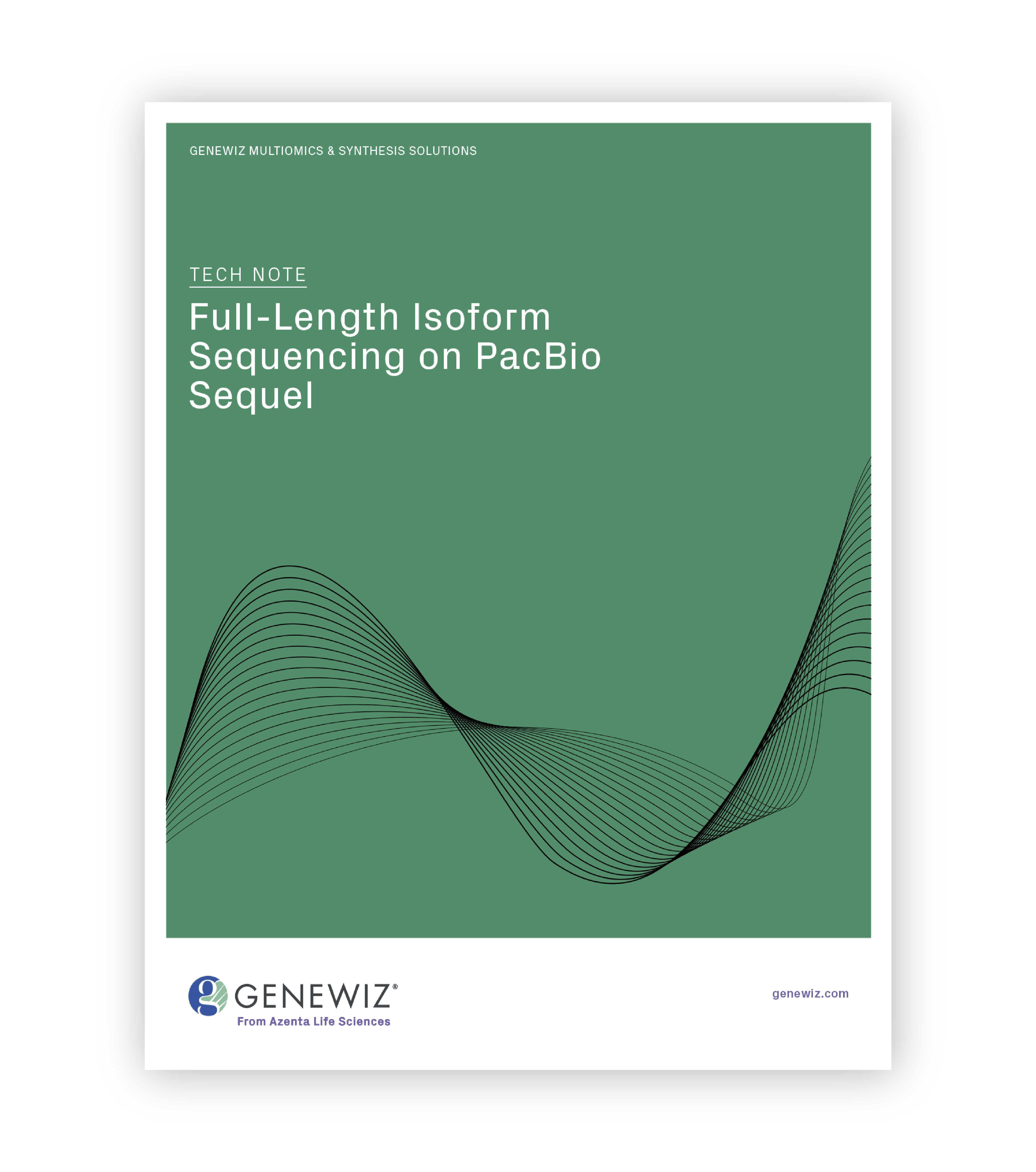 13048-ATN LP Thumbnail