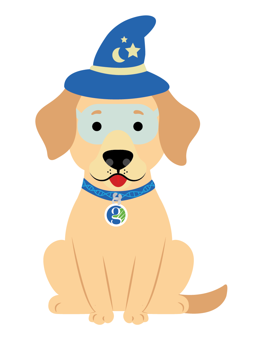 Untitled design (10)-1