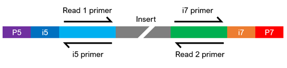 Illumina Sequencing Index on Sale | aria-database.com