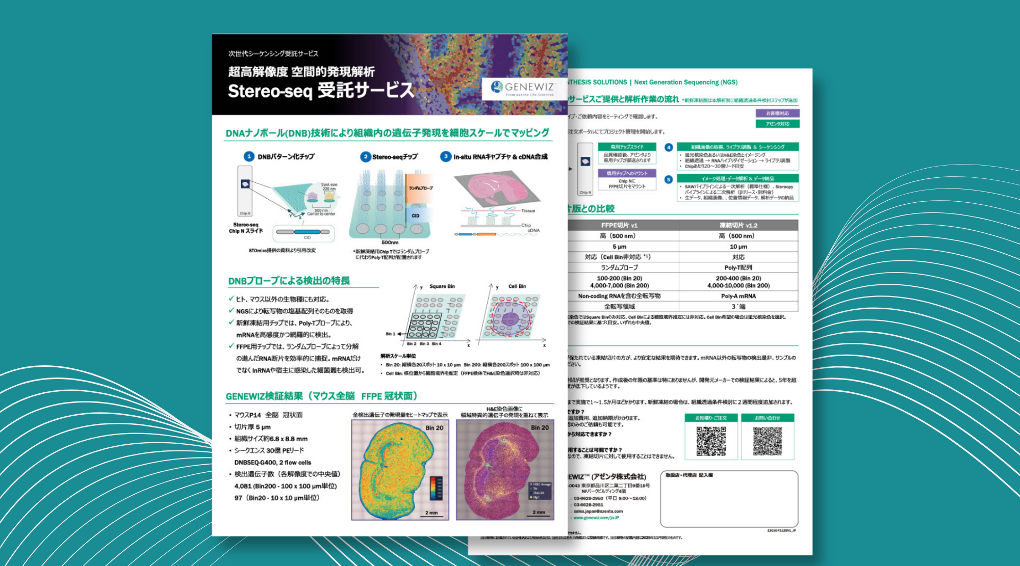 Stereo seq FFPE