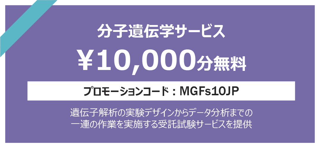 Asset 3@4x