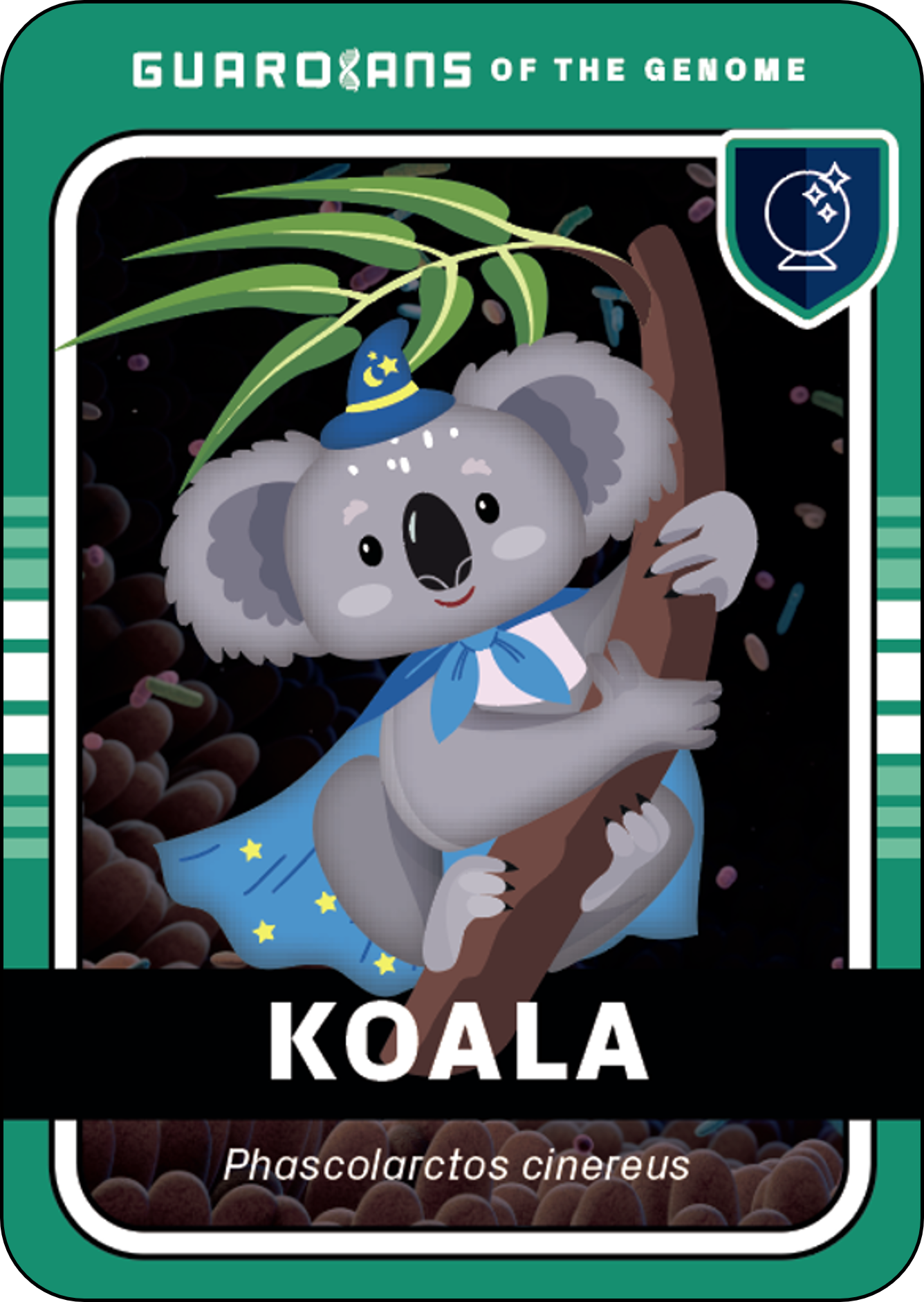 KOARA Front