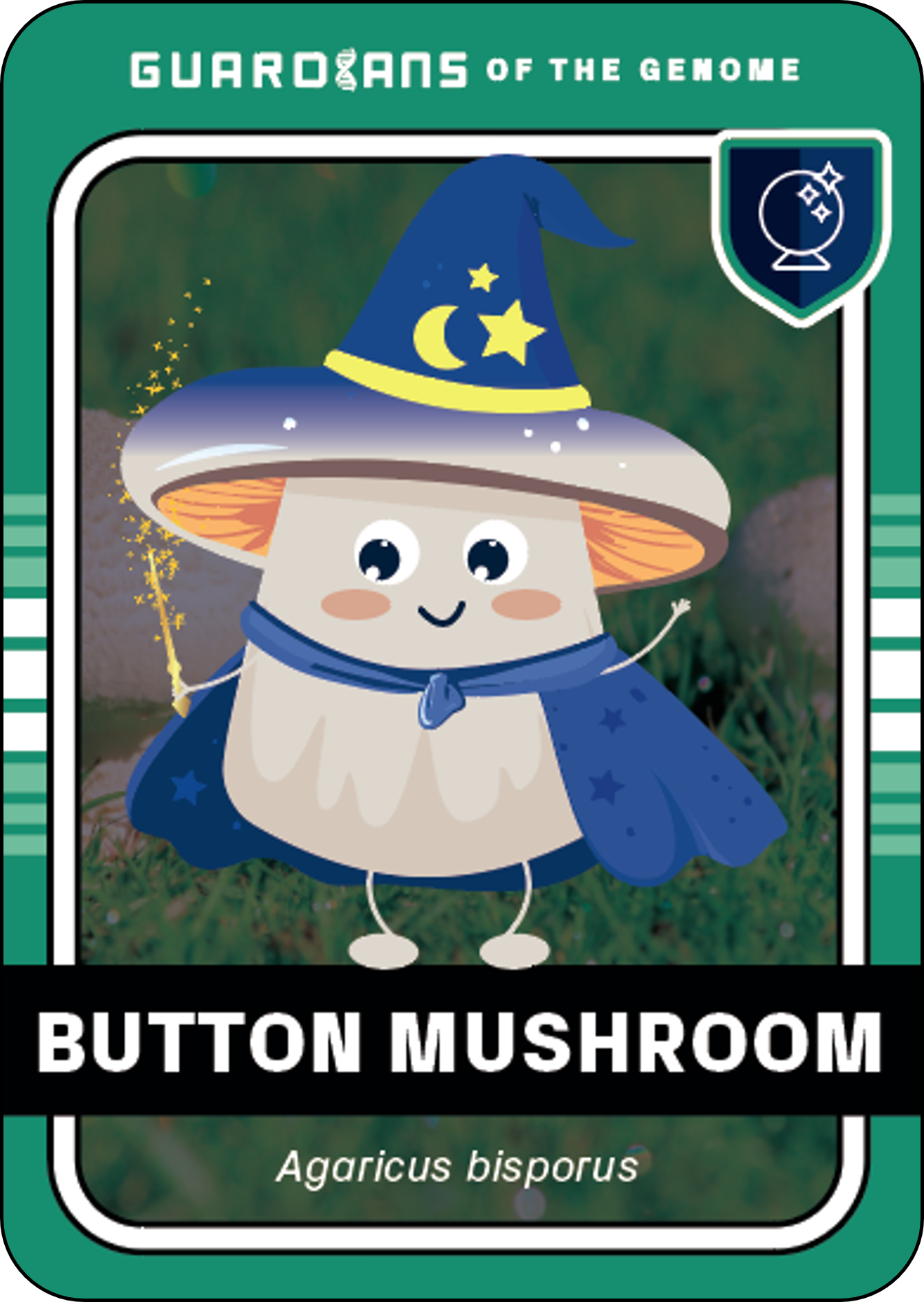 MUSHROOM front