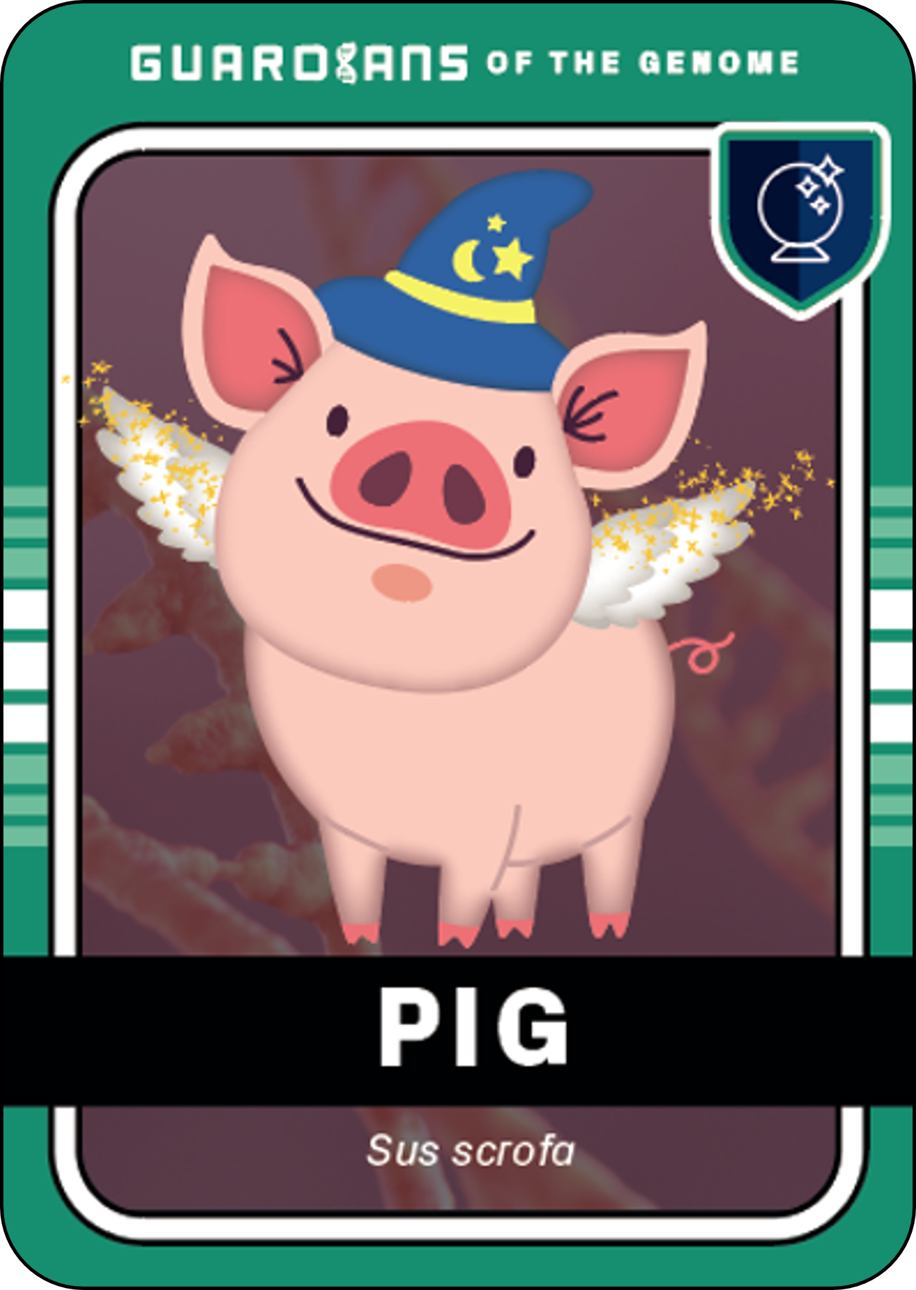 PIG front