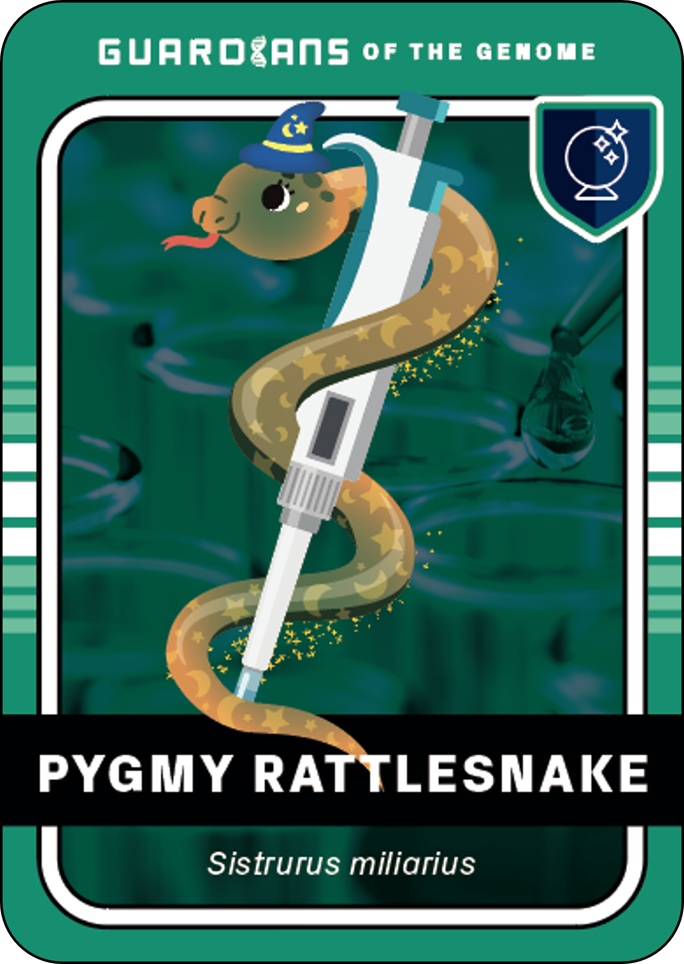SNAKE front